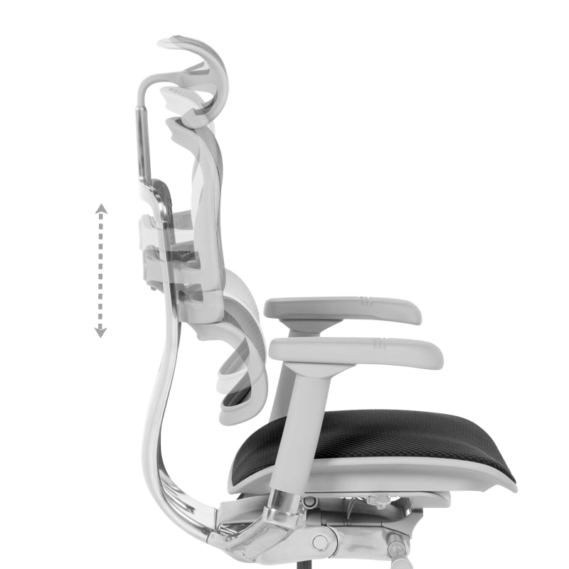 Ергономичен офис стол Ergohuman Elite 2 черен-сива рамка